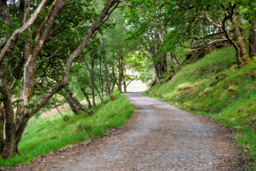 Poolewe Beach House, fantastic walks